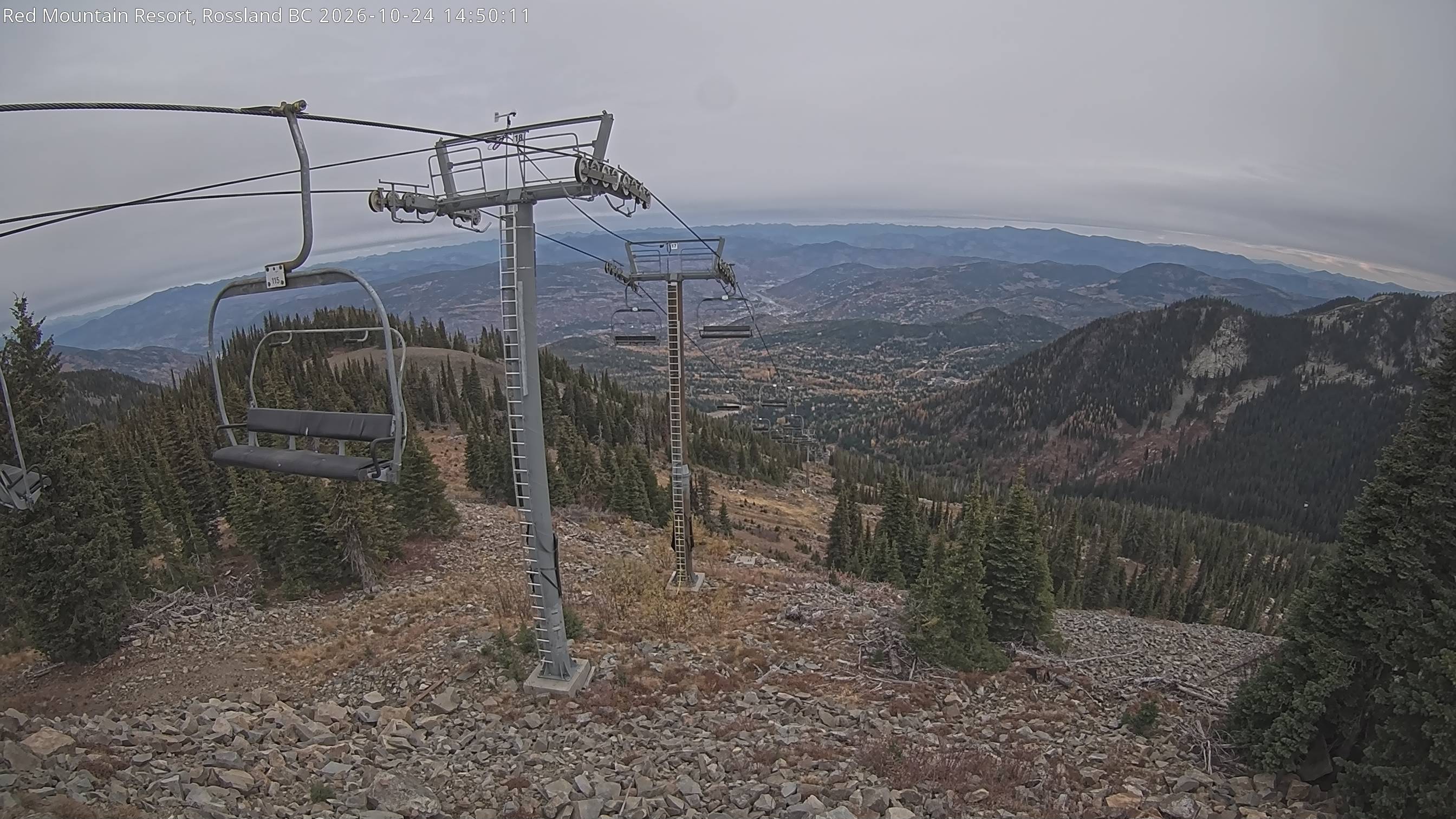 Grey Mtn Cam